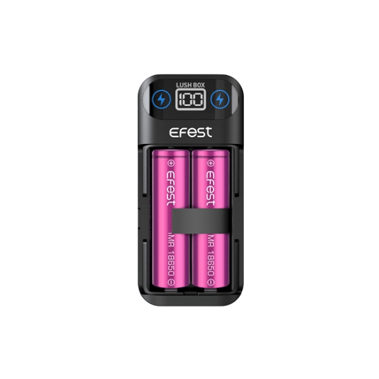 Efest Lush Charger