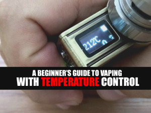 A Beginner’s Guide to Vaping with Temperature Control